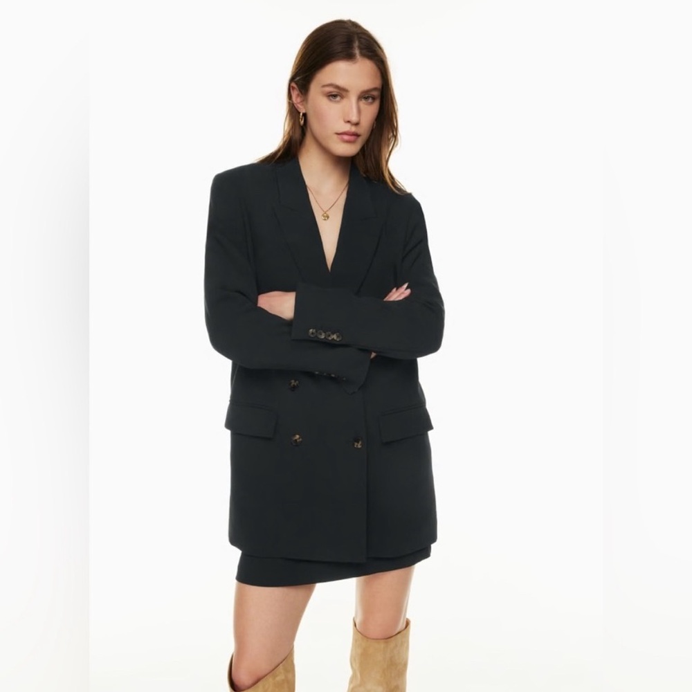 Aritzia Wilfred Cherrelle Blazer